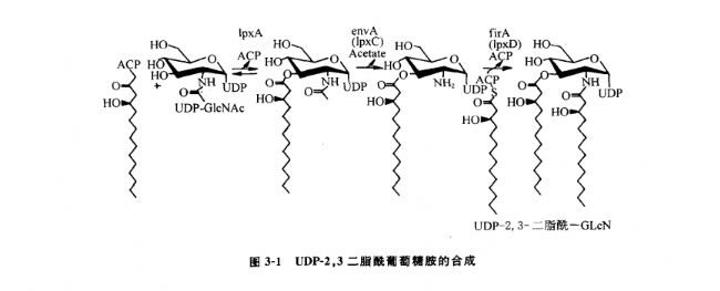 Lipid AϳɺŴѧ