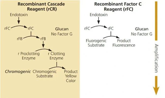 ӦƣΪԼ(rCR)ҲΪC(rFC)