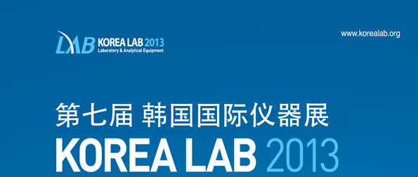 ߽캫չKOREA LAB 2013